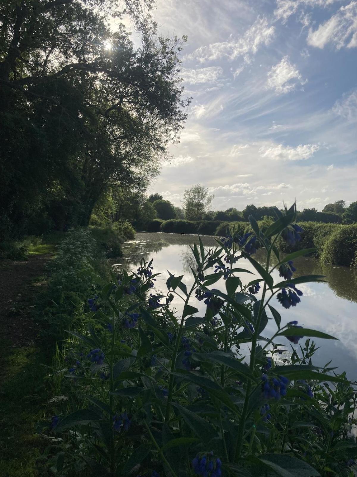 Dutch Cruiser Ship On A Tranquil Secluded River Tonbridge Extérieur photo