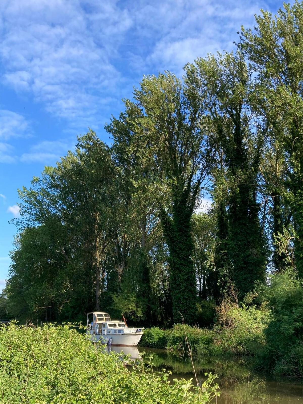 Dutch Cruiser Ship On A Tranquil Secluded River Tonbridge Extérieur photo
